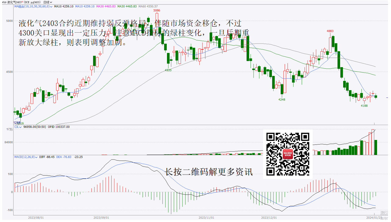 金年会